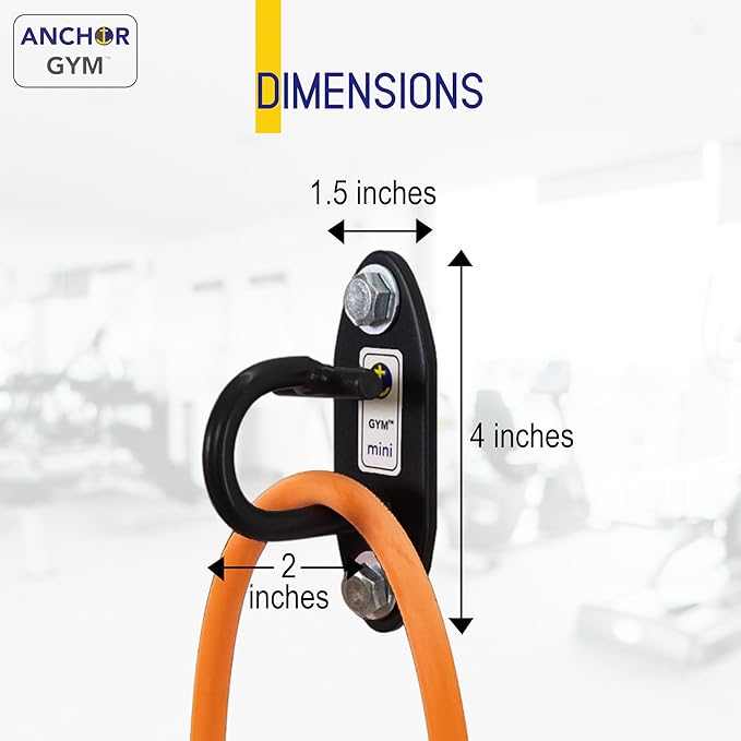 The Anchor Gym Anchor Gym-Mini H1 (Set of 3) -