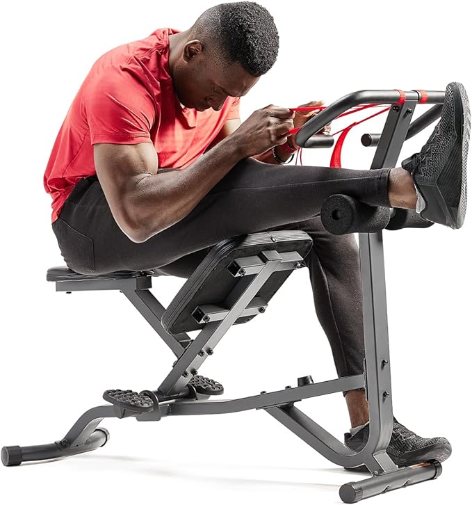 Sunny Health & Fitness Full Body Inversion Traction