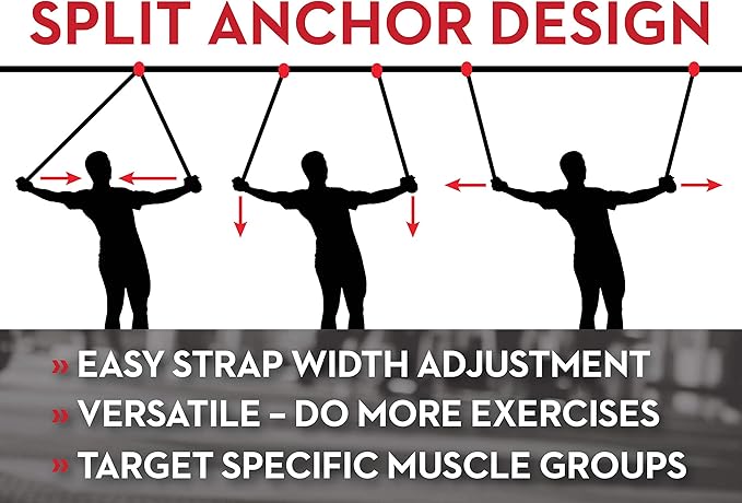 Lifeline Jungle Gym XT Body Weight Suspension Trainer