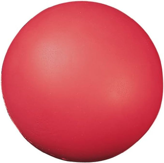 Champion Sports Uncoated Regular Density Foam Ball