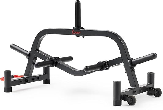 Sunny Health & Fitness Multi-Weight Storage Rack Stand for Dumbbells, Kettlebells, Olympic Weight Plates, Barbell, Medicine Ball