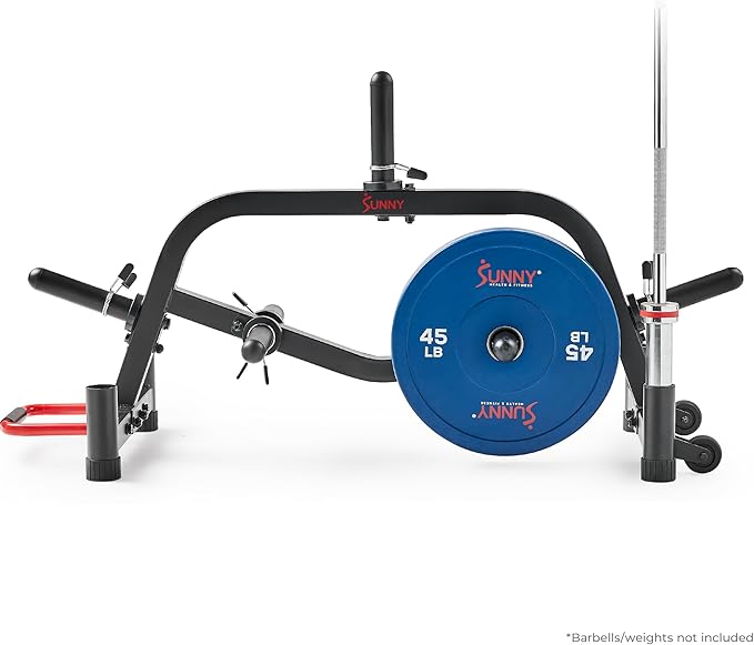 Sunny Health & Fitness Multi-Weight Storage Rack Stand for Dumbbells, Kettlebells, Olympic Weight Plates, Barbell, Medicine Ball
