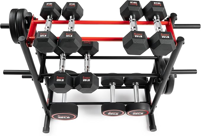 Sunny Health & Fitness Multi-Weight Storage Rack Stand for Dumbbells, Kettlebells, Olympic Weight Plates, Barbell, Medicine Ball