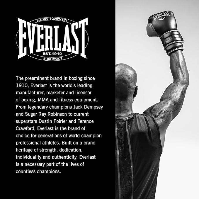Everlast Speed Bag