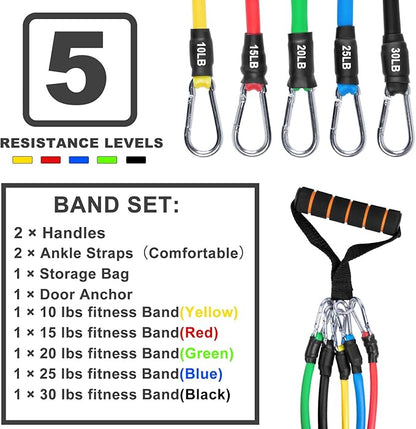 Resistance Bands Set, Workout Bands with Handles, Door Anchor, Ankle Straps and Carry Bag, Exercise Bands for Shape Body and Home Workouts