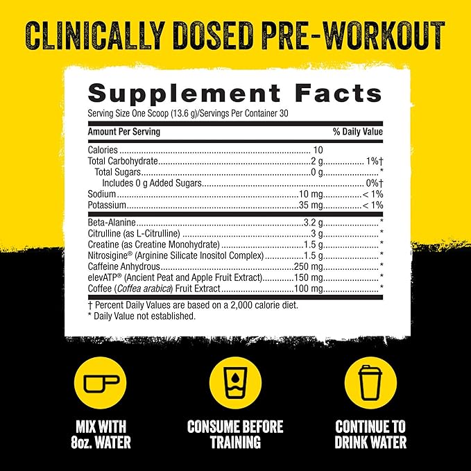 Beyond Raw LIT PreWorkout Powder Supplement For Men and Women, Energy, Focus, Endurance, Pumps, Nitric Oxide Boost, 250mg Caffeine, Creatine, Beta Alanine, Orange Mango, 30 Servings