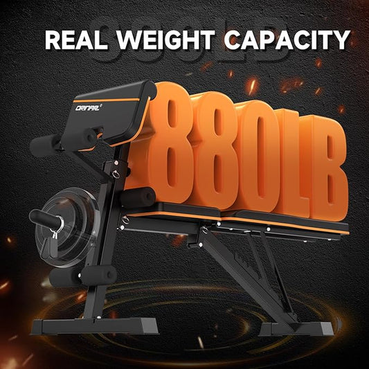 Weight Bench Press