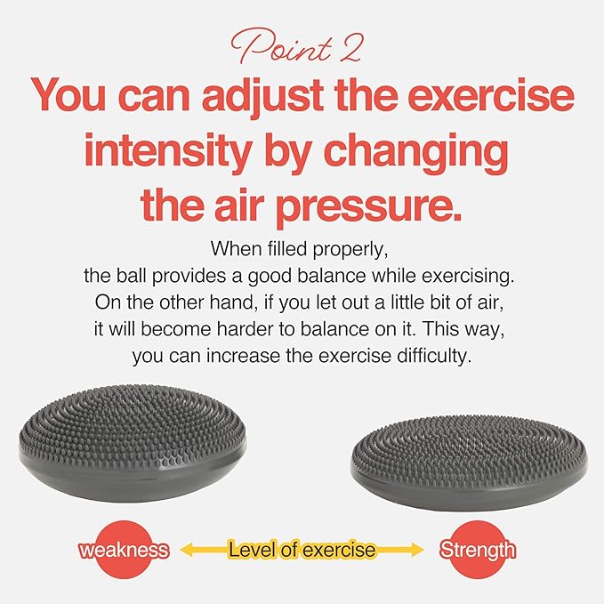 Primasole Balance disc 1 PC Comes with an