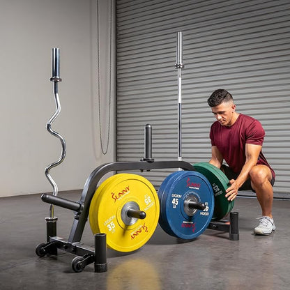 Sunny Health & Fitness Multi-Weight Storage Rack Stand for Dumbbells, Kettlebells, Olympic Weight Plates, Barbell, Medicine Ball